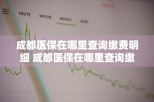 成都医保在哪里查询缴费明细 成都医保在哪里查询缴费明细打印