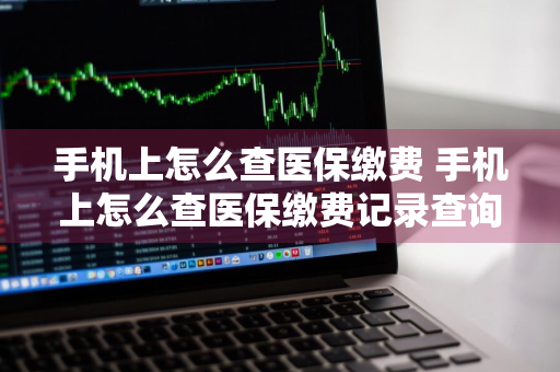 手机上怎么查医保缴费 手机上怎么查医保缴费记录查询