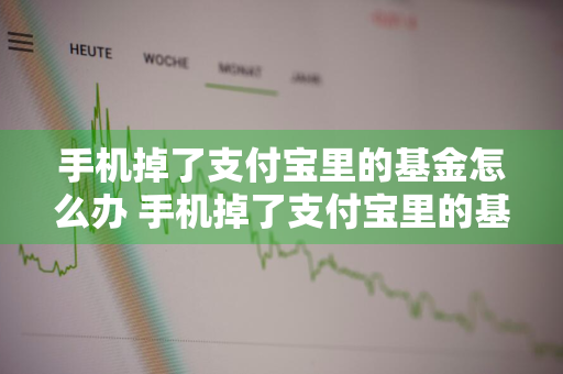 手机掉了支付宝里的基金怎么办 手机掉了支付宝里的基金怎么办呢