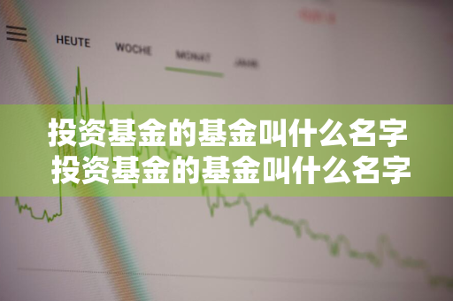 投资基金的基金叫什么名字 投资基金的基金叫什么名字来着