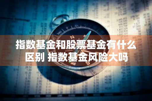 指数基金和股票基金有什么区别 指数基金风险大吗