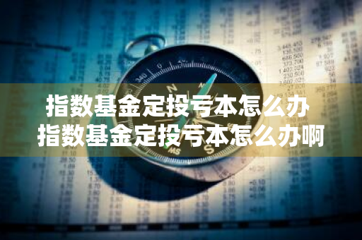 指数基金定投亏本怎么办 指数基金定投亏本怎么办啊