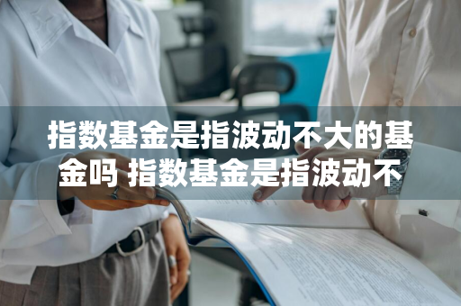 指数基金是指波动不大的基金吗 指数基金是指波动不大的基金吗为什么