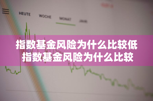 指数基金风险为什么比较低 指数基金风险为什么比较低呢