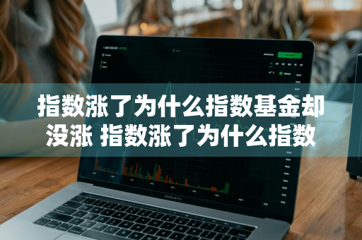 指数涨了为什么指数基金却没涨 指数涨了为什么指数基金却没涨呢