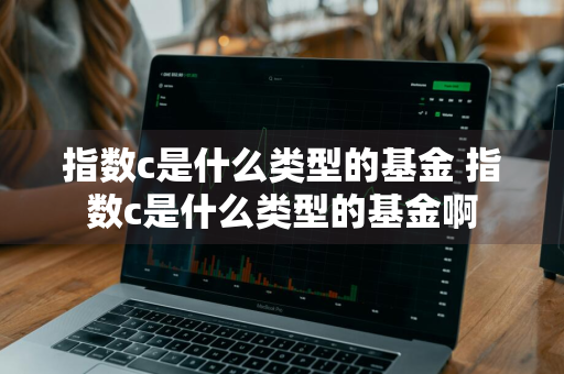 指数c是什么类型的基金 指数c是什么类型的基金啊