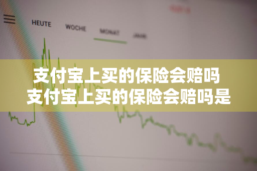 支付宝上买的保险会赔吗 支付宝上买的保险会赔吗是真的吗