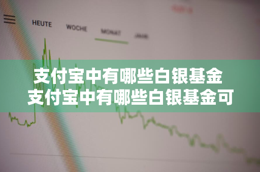 支付宝中有哪些白银基金 支付宝中有哪些白银基金可以买