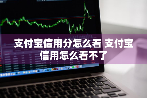 支付宝信用分怎么看 支付宝信用怎么看不了