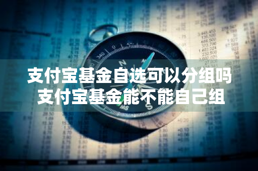 支付宝基金自选可以分组吗 支付宝基金能不能自己组合