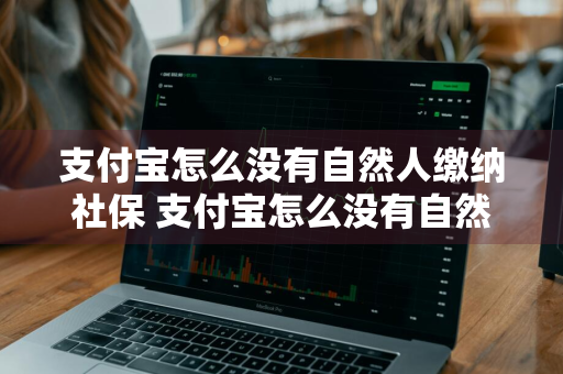 支付宝怎么没有自然人缴纳社保 支付宝怎么没有自然人缴纳社保这一项?