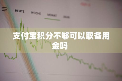 支付宝积分不够可以取备用金吗 