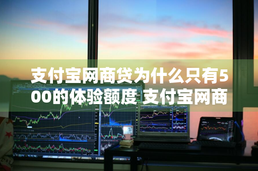 支付宝网商贷为什么只有500的体验额度 支付宝网商贷为什么只有500的体验额度了