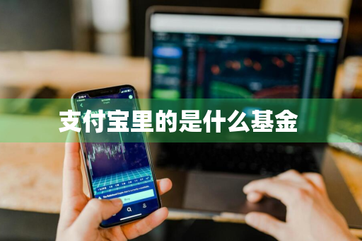 支付宝里的是什么基金 