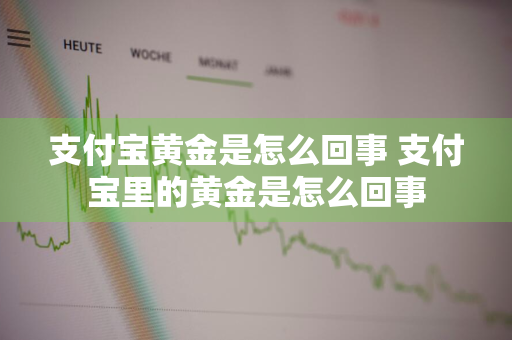 支付宝黄金是怎么回事 支付宝里的黄金是怎么回事