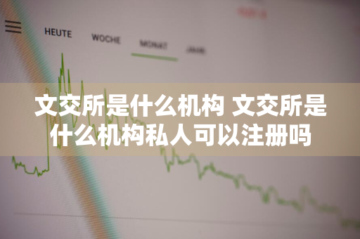 文交所是什么机构 文交所是什么机构私人可以注册吗