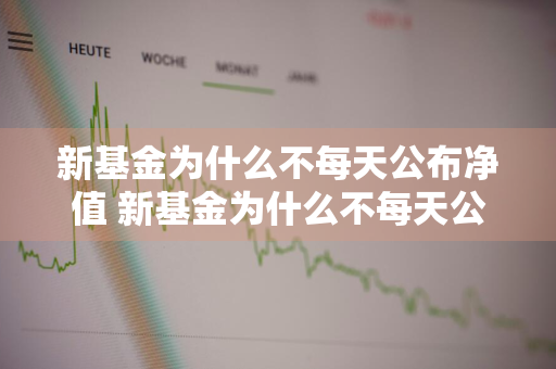 新基金为什么不每天公布净值 新基金为什么不每天公布净值呢