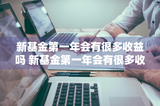 新基金第一年会有很多收益吗 新基金第一年会有很多收益吗知乎