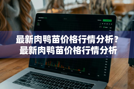 最新肉鸭苗价格行情分析？ 最新肉鸭苗价格行情分析表