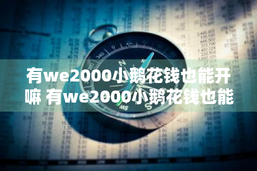 有we2000小鹅花钱也能开嘛 有we2000小鹅花钱也能开吗