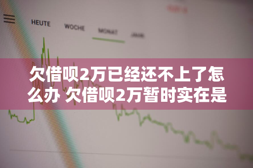 欠借呗2万已经还不上了怎么办 欠借呗2万暂时实在是还不起了怎么办