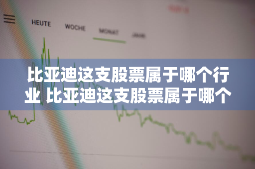 比亚迪这支股票属于哪个行业 比亚迪这支股票属于哪个行业的