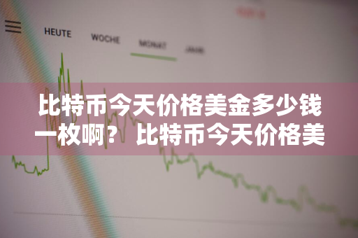 比特币今天价格美金多少钱一枚啊？ 比特币今天价格美金多少钱一枚啊图片