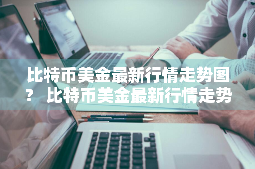 比特币美金最新行情走势图？ 比特币美金最新行情走势图