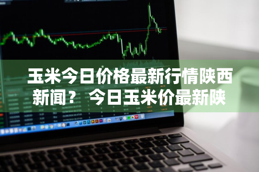 玉米今日价格最新行情陕西新闻？ 今日玉米价最新陕西玉米价格表