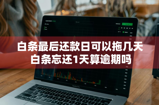 白条最后还款日可以拖几天 白条忘还1天算逾期吗