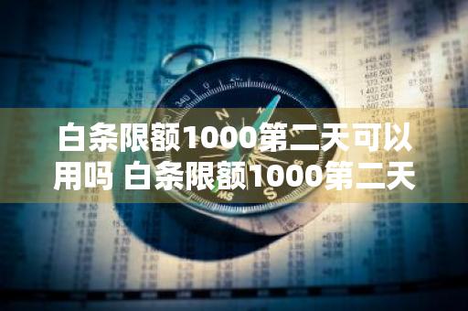 白条限额1000第二天可以用吗 白条限额1000第二天可以用吗安全吗