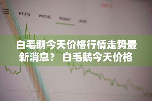 白毛鹅今天价格行情走势最新消息？ 白毛鹅今天价格行情走势最新消息