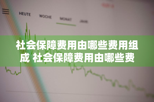 社会保障费用由哪些费用组成 社会保障费用由哪些费用组成的