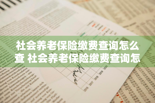 社会养老保险缴费查询怎么查 社会养老保险缴费查询怎么查?