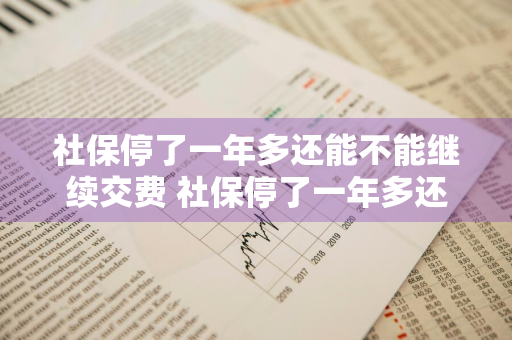 社保停了一年多还能不能继续交费 社保停了一年多还能不能继续交费可以别人代办理吗