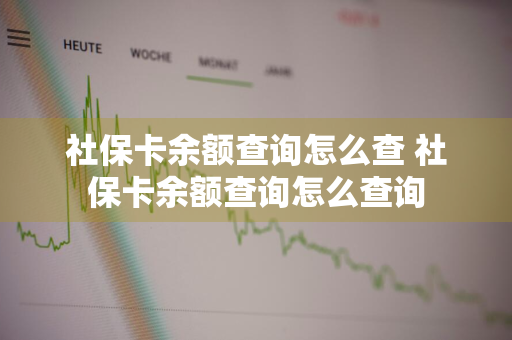 社保卡余额查询怎么查 社保卡余额查询怎么查询