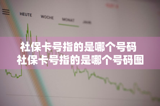 社保卡号指的是哪个号码 社保卡号指的是哪个号码图片