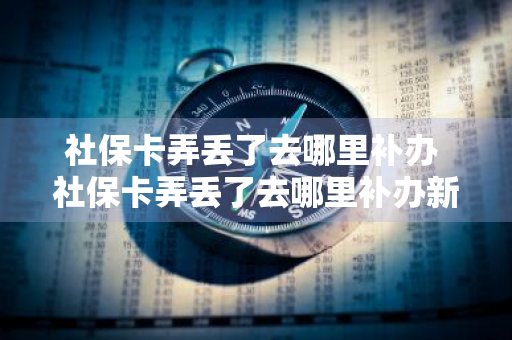 社保卡弄丢了去哪里补办 社保卡弄丢了去哪里补办新卡