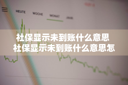 社保显示未到账什么意思 社保显示未到账什么意思怎么办