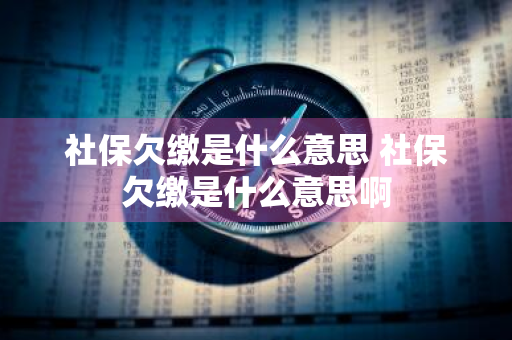 社保欠缴是什么意思 社保欠缴是什么意思啊