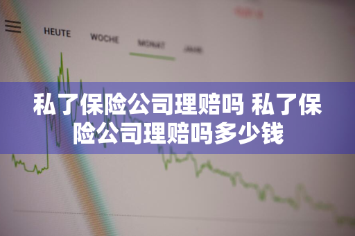 私了保险公司理赔吗 私了保险公司理赔吗多少钱