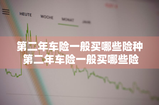 第二年车险一般买哪些险种 第二年车险一般买哪些险种好