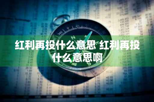 红利再投什么意思 红利再投什么意思啊