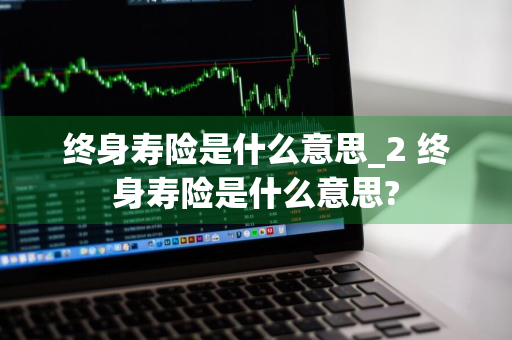 终身寿险是什么意思_2 终身寿险是什么意思?