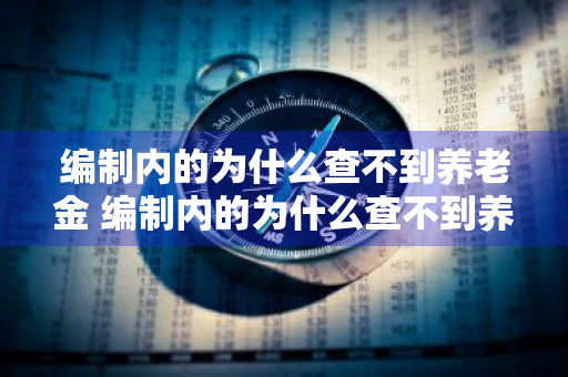 编制内的为什么查不到养老金 编制内的为什么查不到养老金知乎