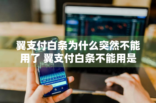 翼支付白条为什么突然不能用了 翼支付白条不能用是怎么回事