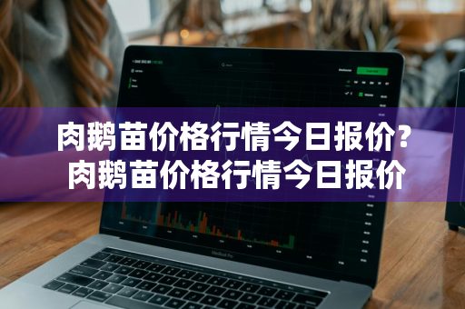 肉鹅苗价格行情今日报价？ 肉鹅苗价格行情今日报价表