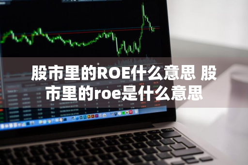 股市里的ROE什么意思 股市里的roe是什么意思