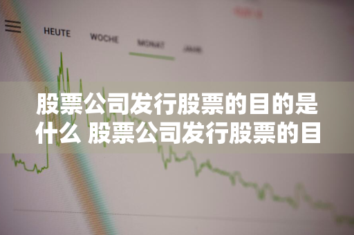 股票公司发行股票的目的是什么 股票公司发行股票的目的是什么呢