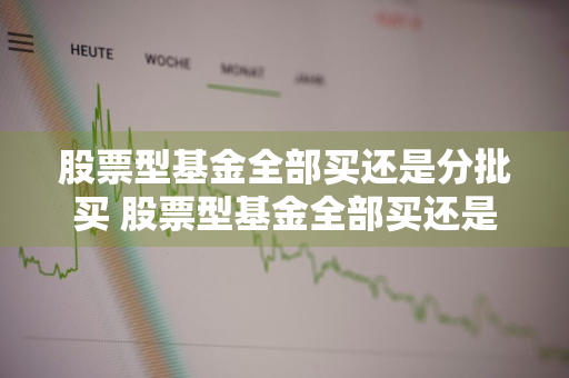 股票型基金全部买还是分批买 股票型基金全部买还是分批买好